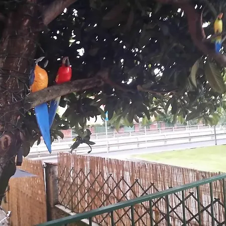 Vicino Allo Stadio Di San Siro E Fiera Apartament *